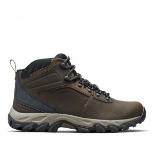 Cizme Columbia® Newton Ridge Plus II Barbati | BJWZGK-483