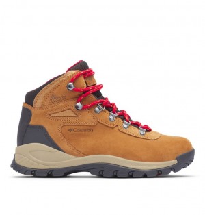 Cizme Impermeabile Columbia® Newton Ridge Plus Dama | QRWYJL-152