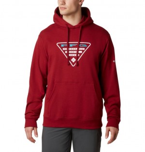 Hoodies Columbia® PFG Triangle Barbati | DAUJIY-604