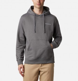 Hoodies Columbia® Viewmont II Barbati | TCQXBA-648