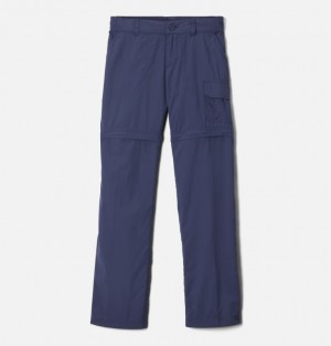 Pantaloni Columbia® Silver Ridge IV Convertible Copii | SOIPXU-308