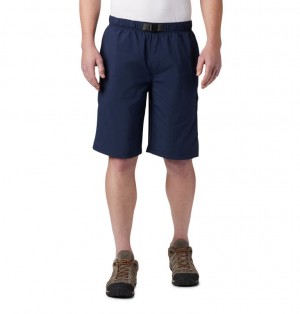 Pantaloni Scurti Columbia® Palmerston Peak Barbati | ZKOMCJ-457