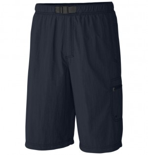 Pantaloni Scurti Columbia® Palmerston Peak Barbati | EBSLXA-379