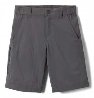 Pantaloni Scurti Columbia® Silver Ridge IV Copii | USWPFX-514