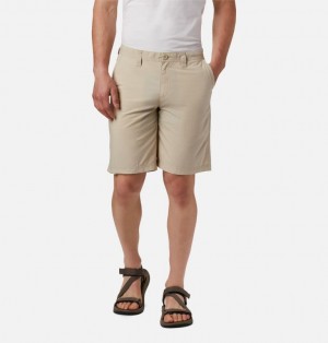 Pantaloni Scurti Columbia® Washed Out Barbati | UBJKEH-987