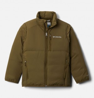 Puffer Jackets Columbia® Grand Wall Copii | LDCTER-593