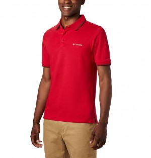 Tricouri Polo Columbia® Collegiate Barbati | TALMUR-459