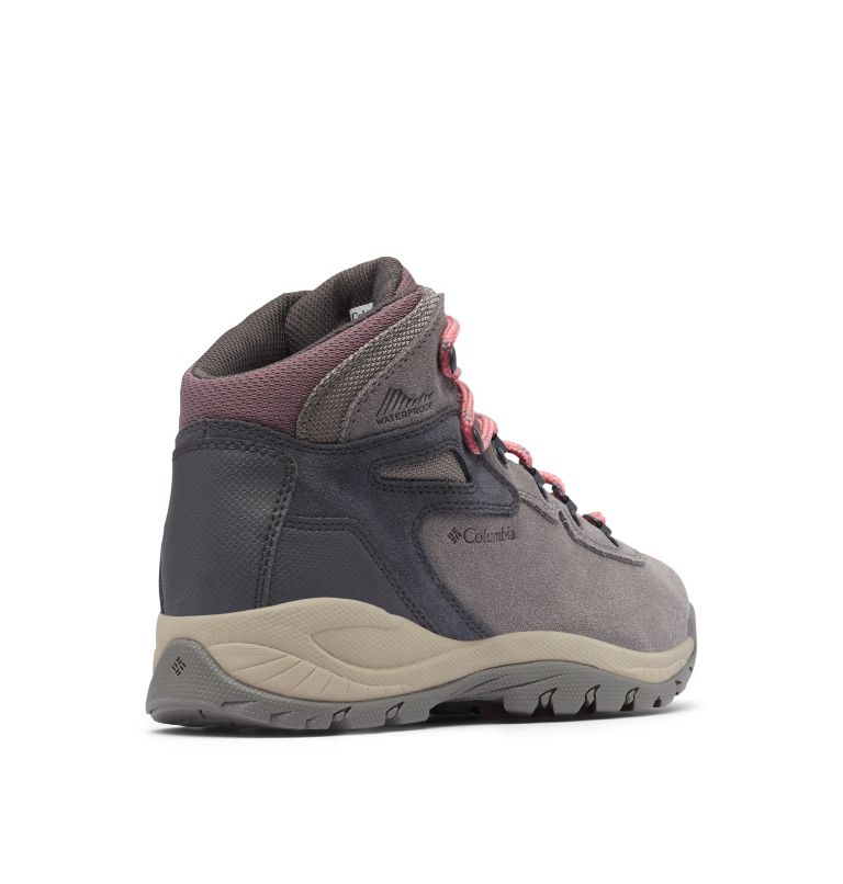 Pantofi Drumetie Columbia® Newton Ridge Plus Dama | YFXOGT-257